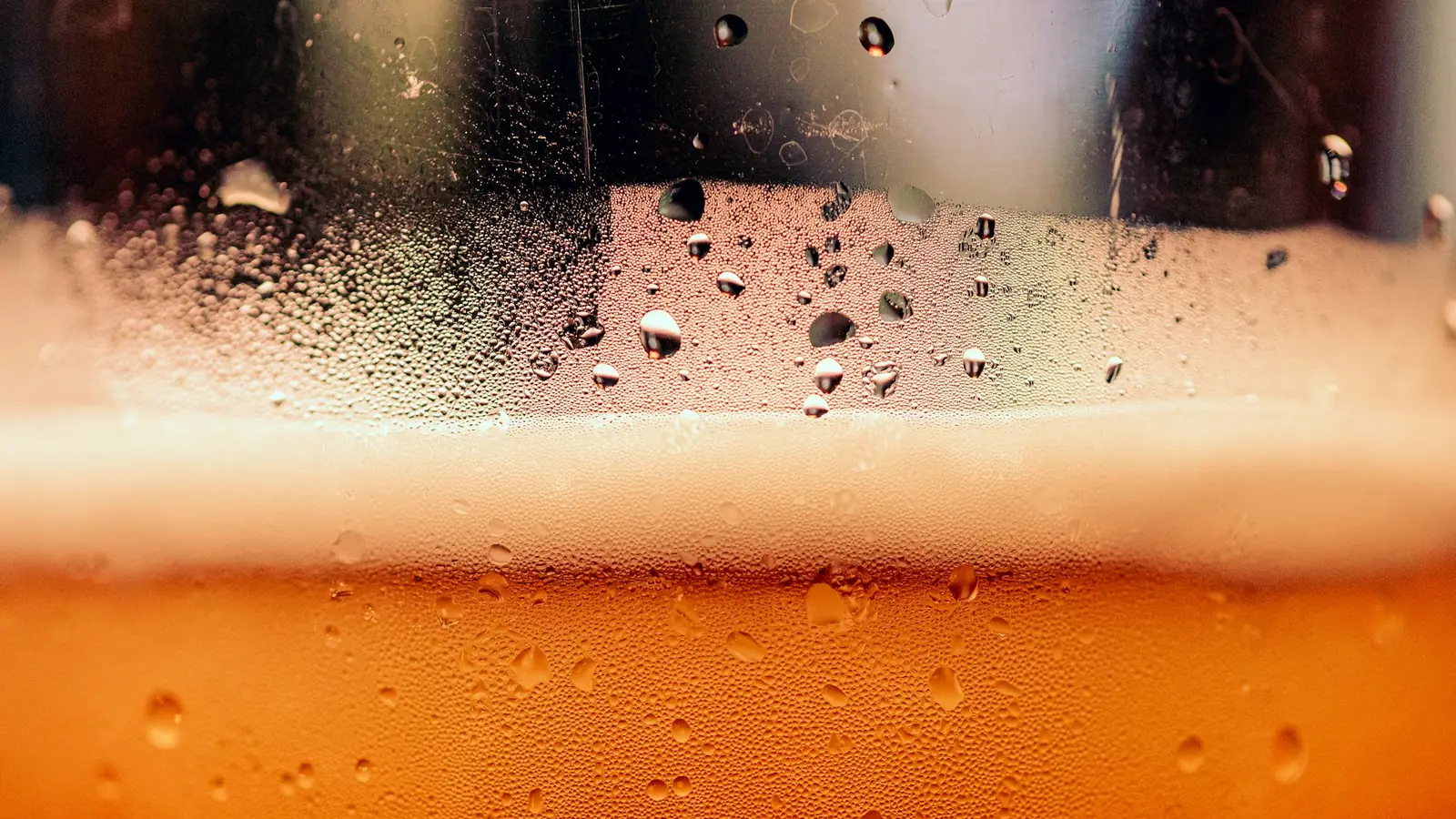 Cerveza recién tirada con condensación en el vaso